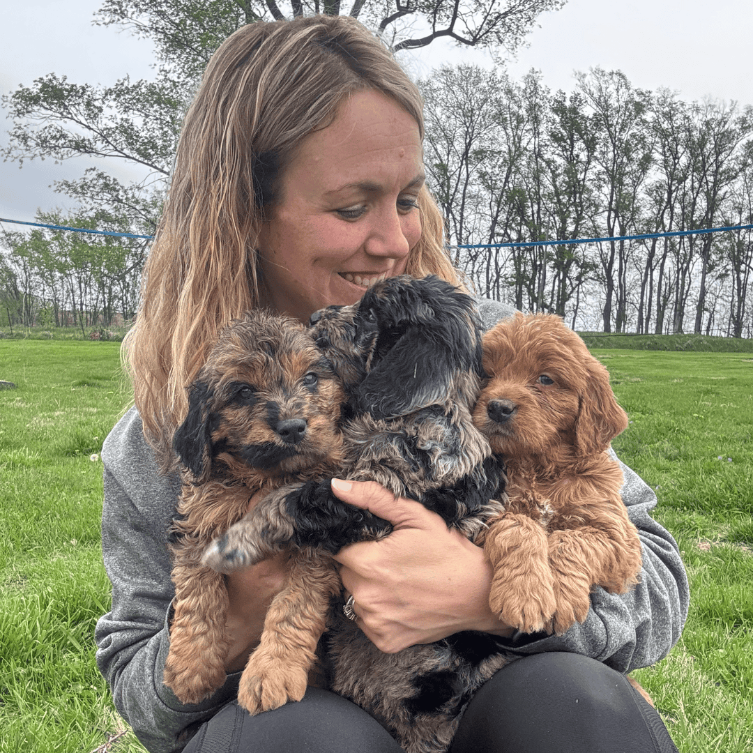 vanessa with three puppies